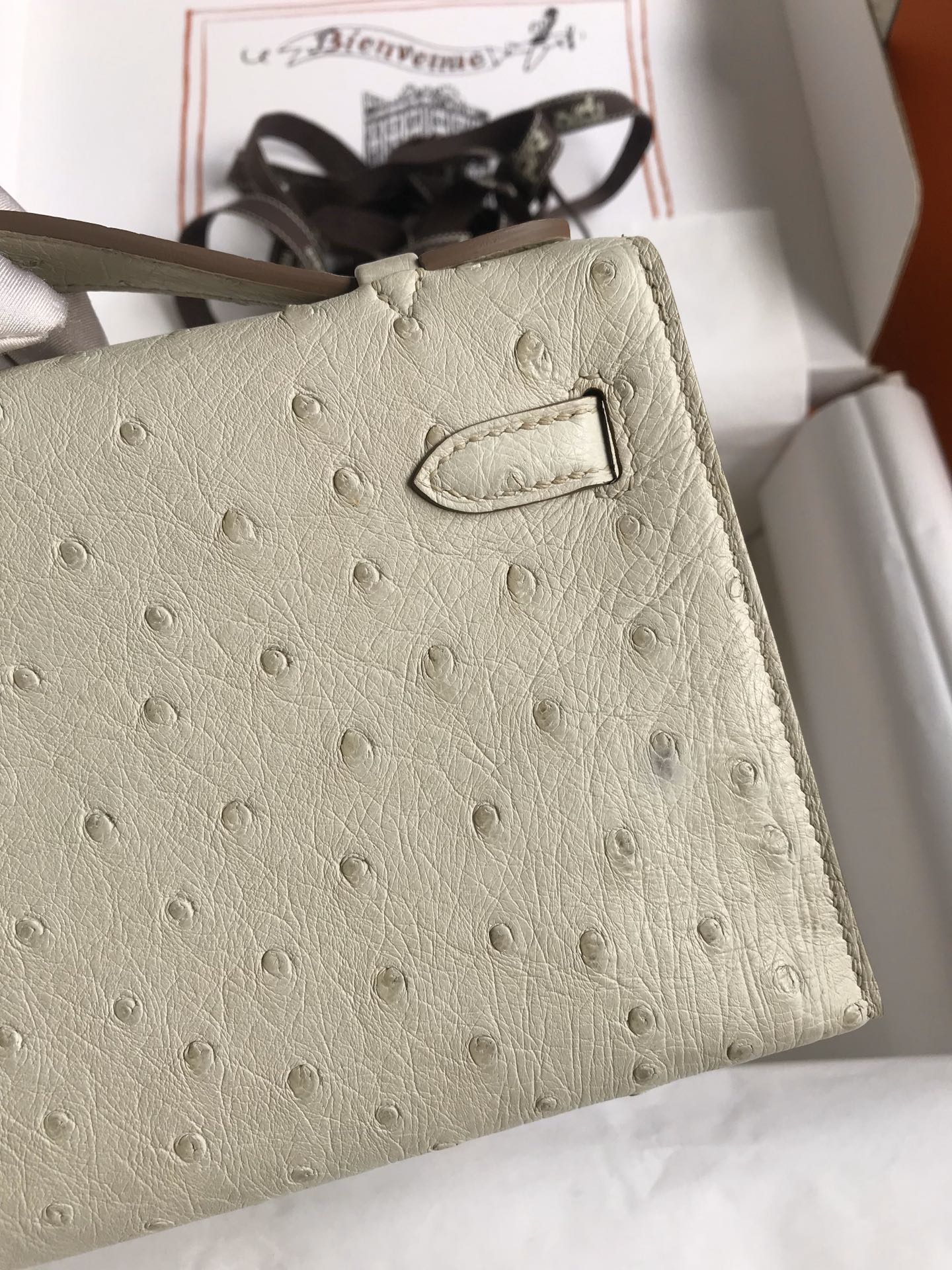 Hermes Mini Kelly Pochette 22cm Bag In Beton Ostrich Leather